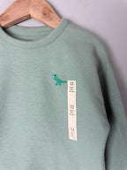 NEW Ex M&S Green Waffle Print Dinosaur Sweater Jumper - Boys 2-3 Years