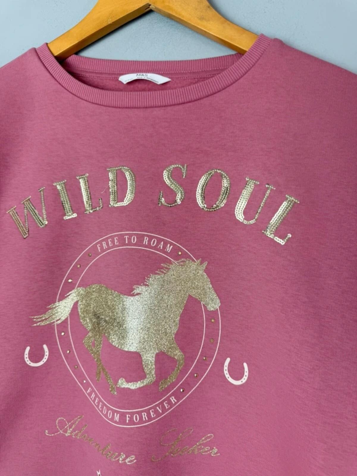 NEW Ex M&S Pink Wild Soul Horse Sweater Jumper - Girls 13-14 Years