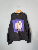 NEW Ex M&S Pomeranian Sweatshirt Jumper - Girls 11 - 12 Years - Discounted high street clothing for children, ladies and men including everyday wear and seasonal styles. UK online