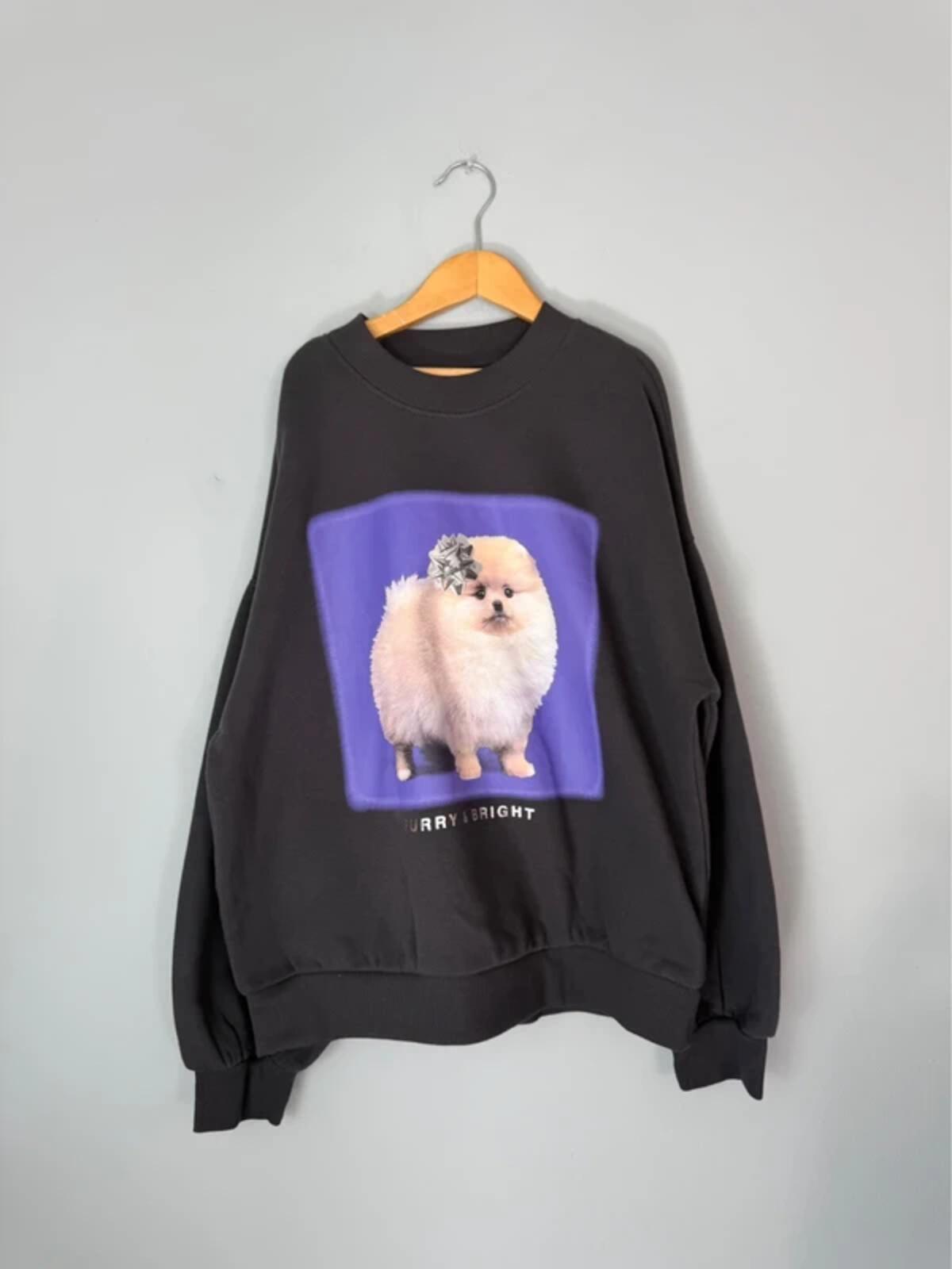 NEW Ex M&S Pomeranian Sweatshirt Jumper - Girls 11 - 12 Years - Discounted high street clothing for children, ladies and men including everyday wear and seasonal styles. UK online
