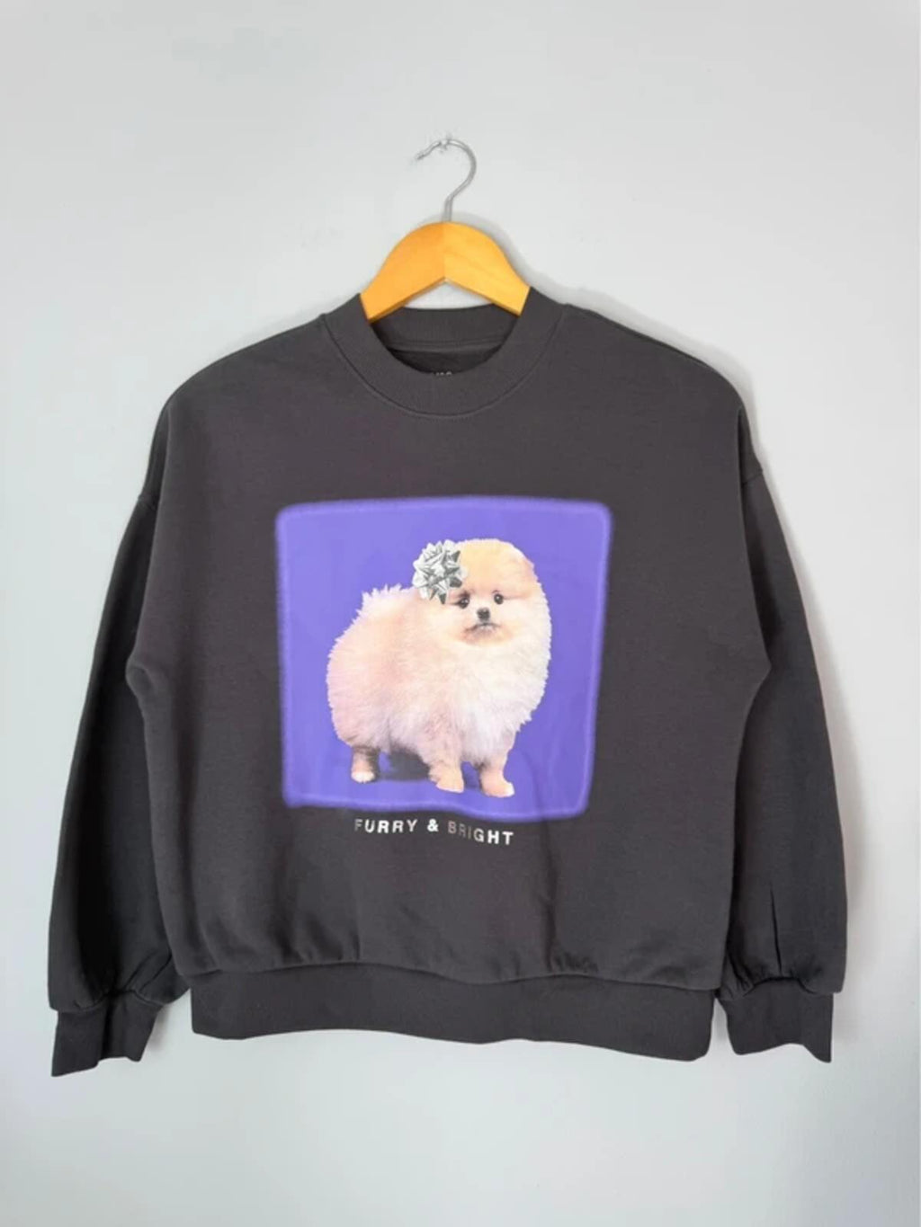 NEW Ex M&S Pomeranian Sweatshirt Jumper - Girls 11 - 12 Years - Discounted high street clothing for children, ladies and men including everyday wear and seasonal styles. UK online