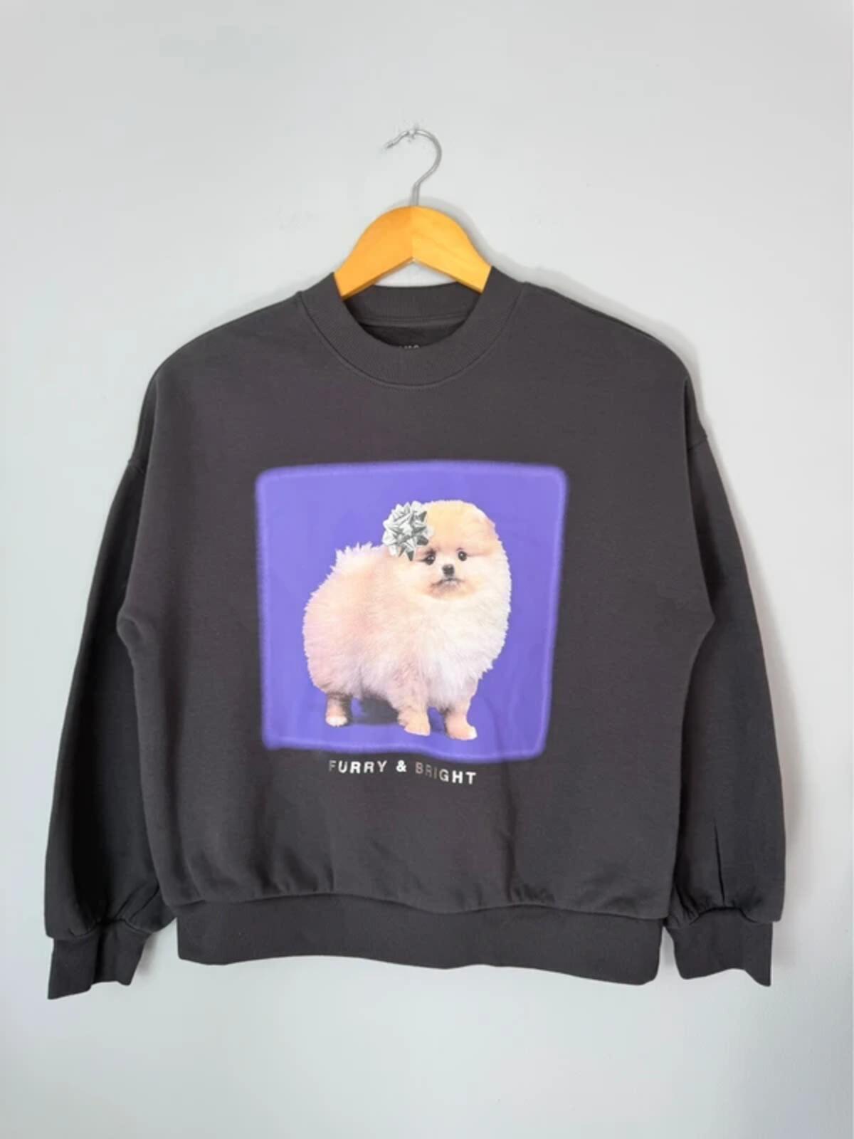 NEW Ex M&S Pomeranian Sweatshirt Jumper - Girls 11 - 12 Years - Discounted high street clothing for children, ladies and men including everyday wear and seasonal styles. UK online