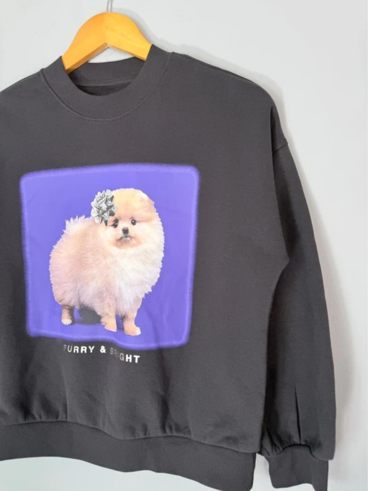 NEW Ex M&S Pomeranian Sweatshirt Jumper - Girls 11 - 12 Years - Discounted high street clothing for children, ladies and men including everyday wear and seasonal styles. UK online