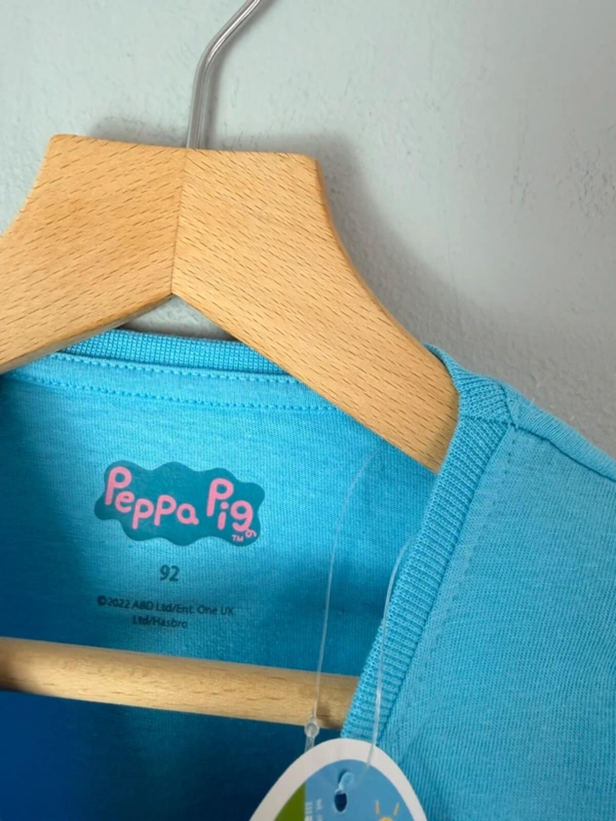 NEW Peppa Pig Blue Long Sleeve Top - Girls 2 Years 92cm - Discounted high street clothing for children, ladies and men including everyday wear and seasonal styles. UK online