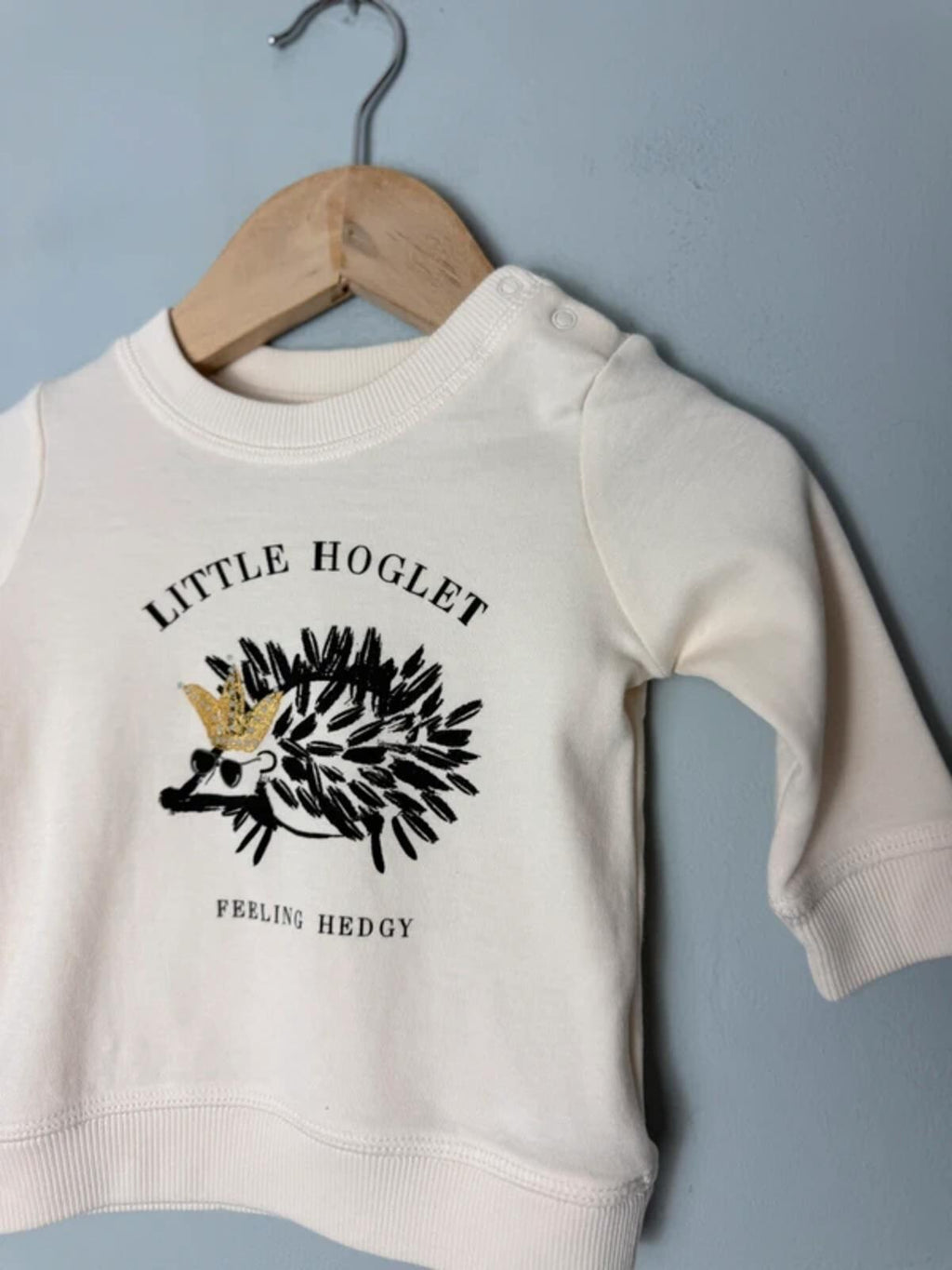 Next Feeling Hedgy Cream Hedgehog Sweatshirt Jumper - Baby 0 - 3 Months - Discounted high street clothing for children, ladies and men including everyday wear and seasonal styles. UK online