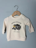 Next Feeling Hedgy Cream Hedgehog Sweatshirt Jumper - Baby 0 - 3 Months - Discounted high street clothing for children, ladies and men including everyday wear and seasonal styles. UK online