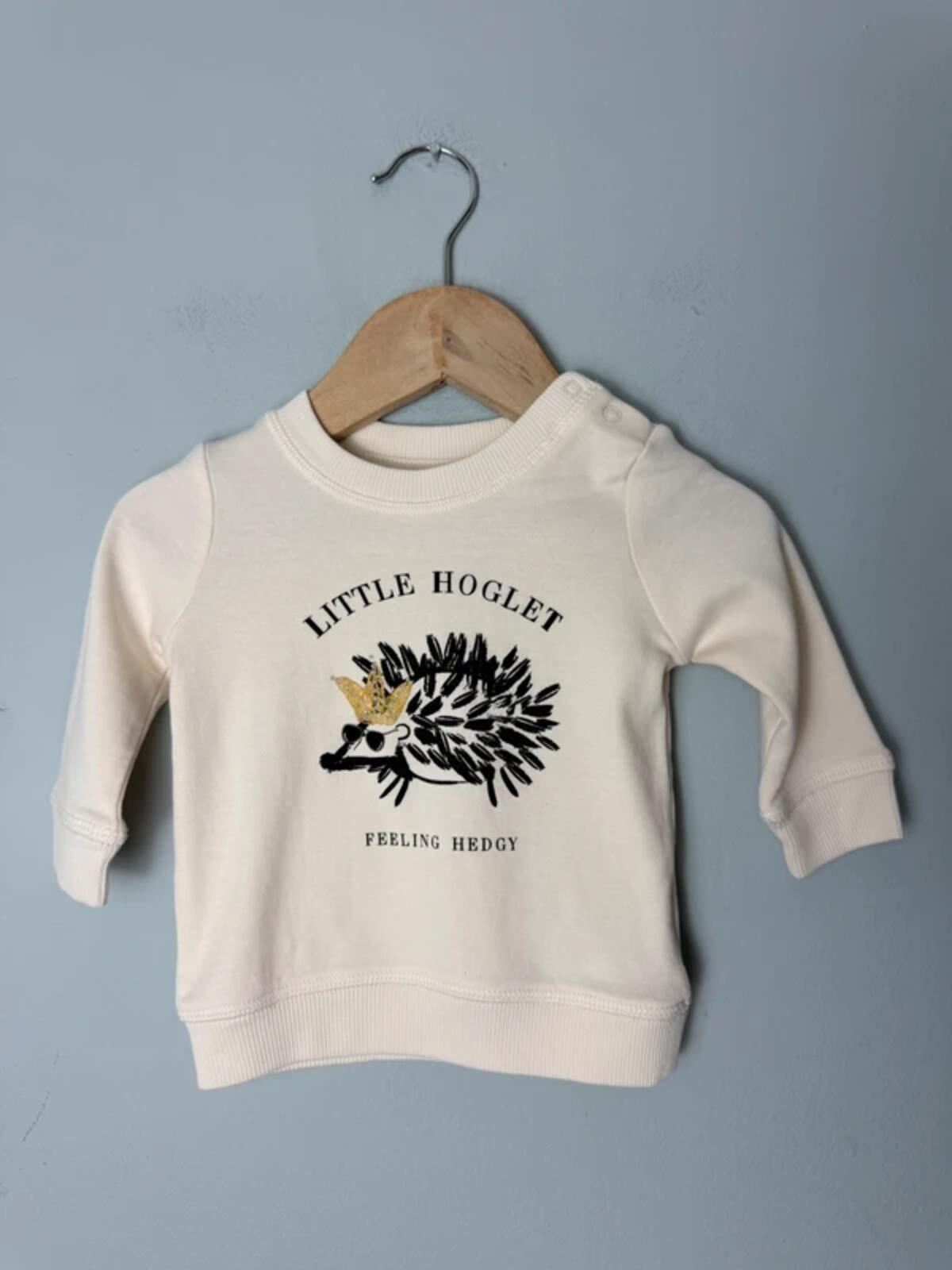 Next Feeling Hedgy Cream Hedgehog Sweatshirt Jumper - Baby 0 - 3 Months - Discounted high street clothing for children, ladies and men including everyday wear and seasonal styles. UK online